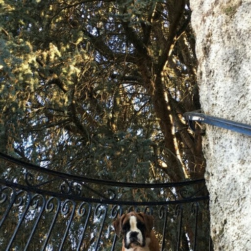 Macha du Clos de L'Escaladieu